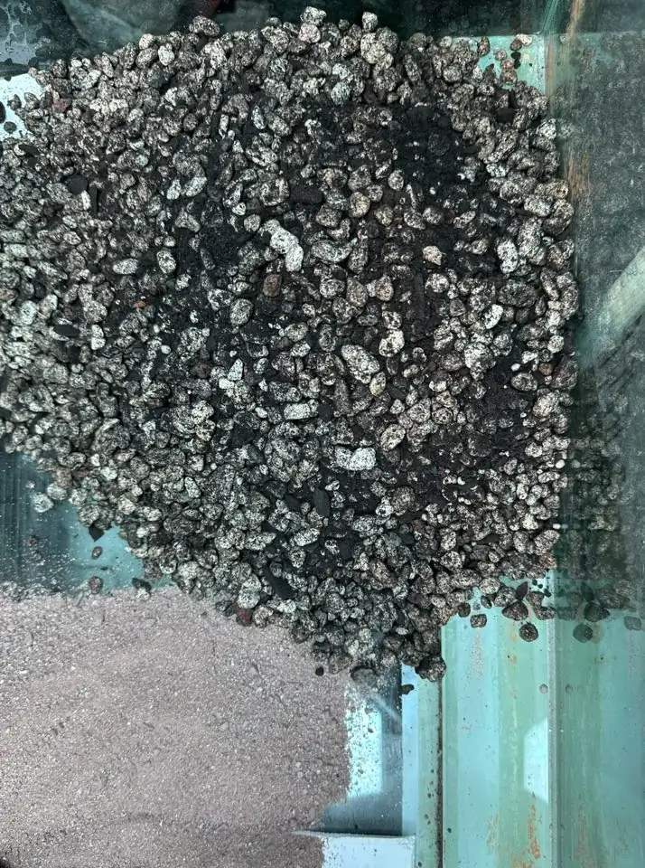 Aquascaping steps - Connecting - IAPLC 2025 Honor Prize - Long Tran Hoang / Vietnam